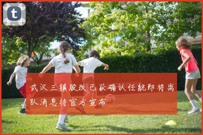 武汉三镇股改已获确认任航即将离队消息待官方宣布