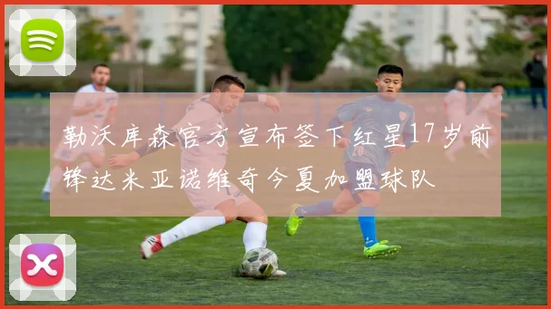 勒沃库森官方宣布签下红星17岁前锋达米亚诺维奇今夏加盟球队